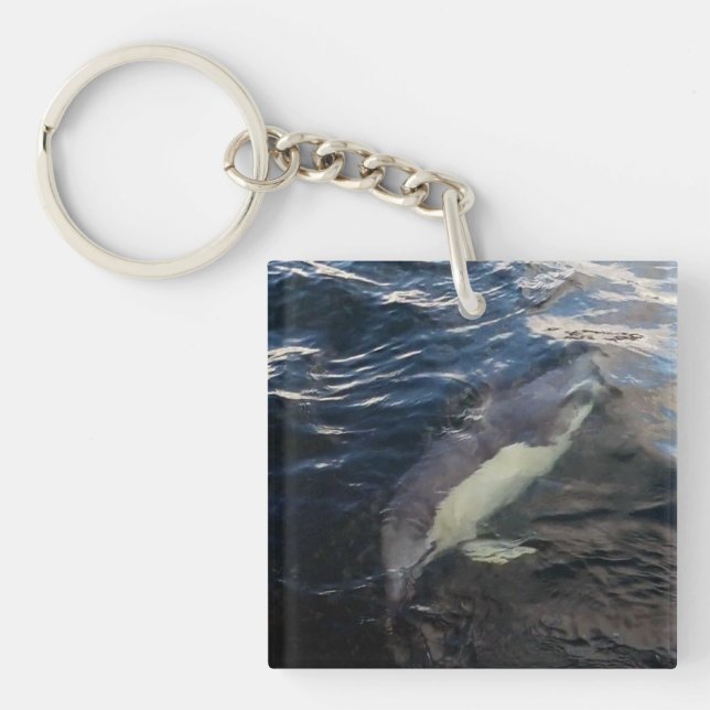 Common Dolphin Swimming  Keychain (Front)