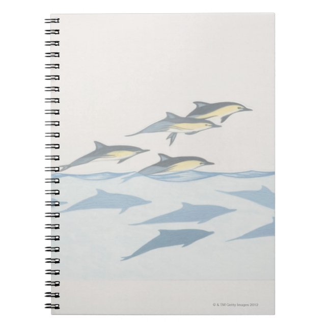 Common Dolphins Notebook (Front)