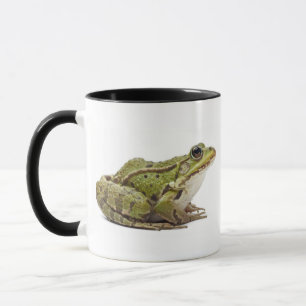 Common European frog or Edible Frog Mug
