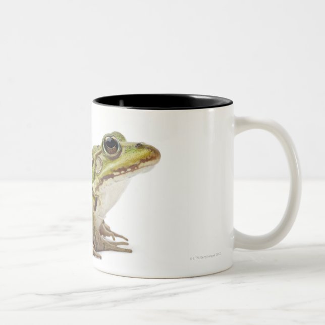 Common European frog or Edible Frog Two-Tone Coffee Mug (Right)