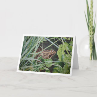 common frog greetings card