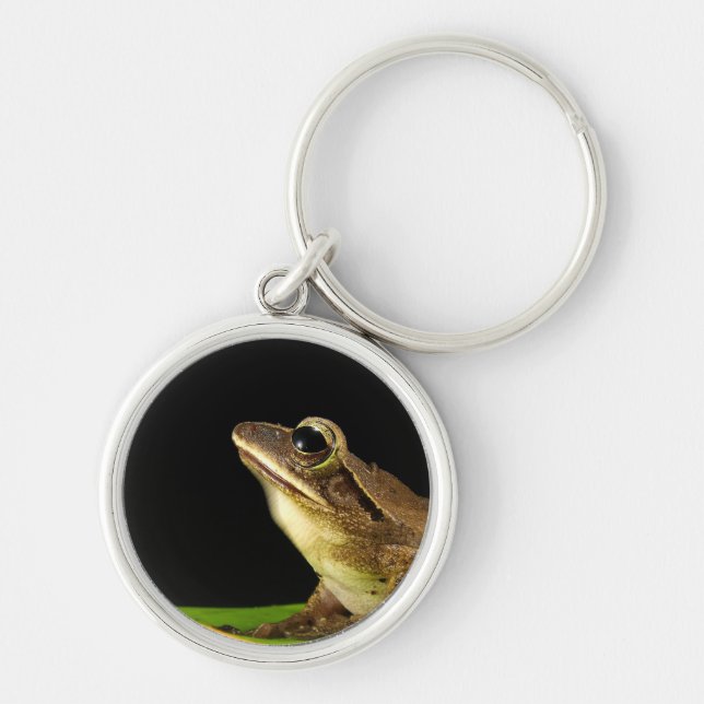 Common Frog on a Leaf Keychain (Front)