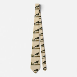 Common Gallinule from Audubon's Birds of America Neck Tie