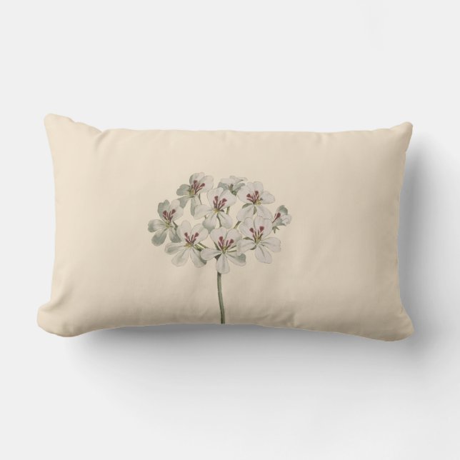 "Common Geranium" Botanical Illustration Floral Lumbar Pillow (Front)