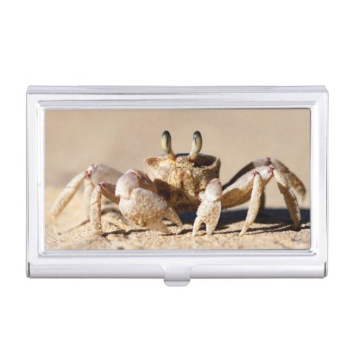 Common Ghost Crab Ocypode Cordimana Case For Business Cards