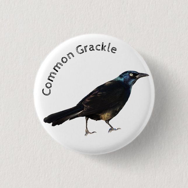 Common Grackle Button (Front)