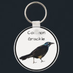 Common Grackle Keychain<br><div class="desc">An photo of a Common Grackle and its name</div>