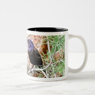 Common Grackle Mug