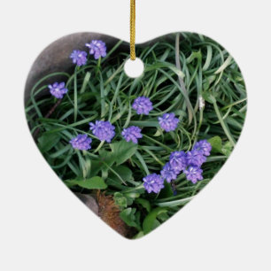 common grape hyacinth, blue purple flower,floral ceramic ornament