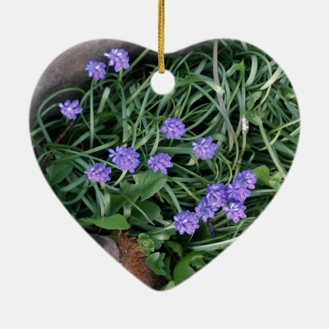 common grape hyacinth,  blue purple flower,floral ceramic ornament (Back)