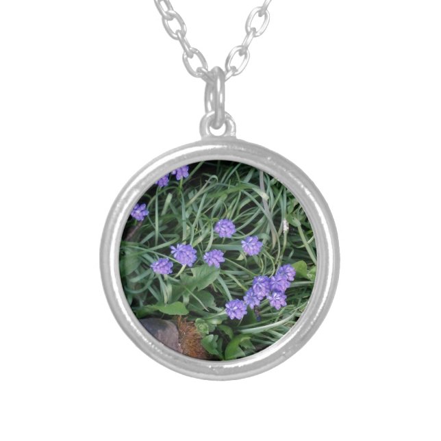 common grape hyacinth,  blue purple flower,floral silver plated necklace (Front)