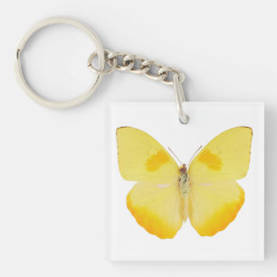 Common Grass Yellow Butterfly Keychain