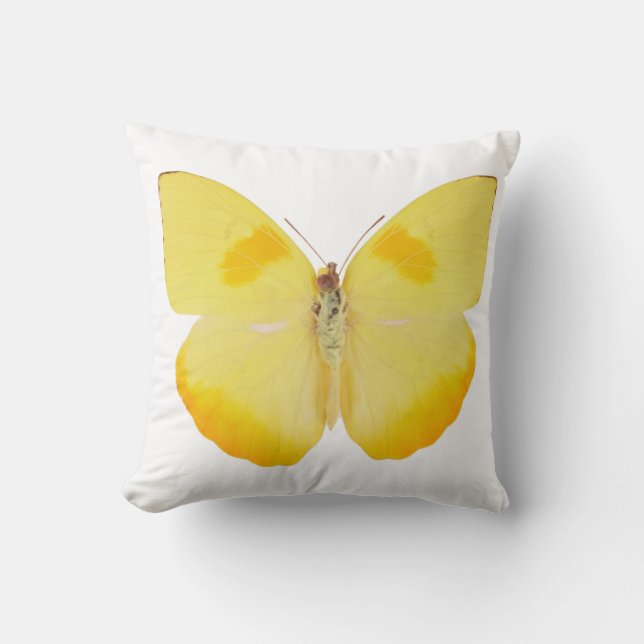 Common Grass Yellow Butterfly Throw Pillow (Front)