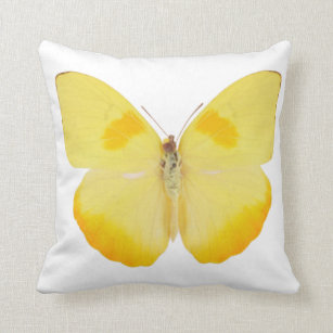 Common Grass Yellow Butterfly Throw Pillow