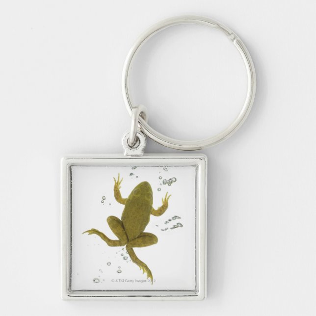 common green frog keychain (Front)