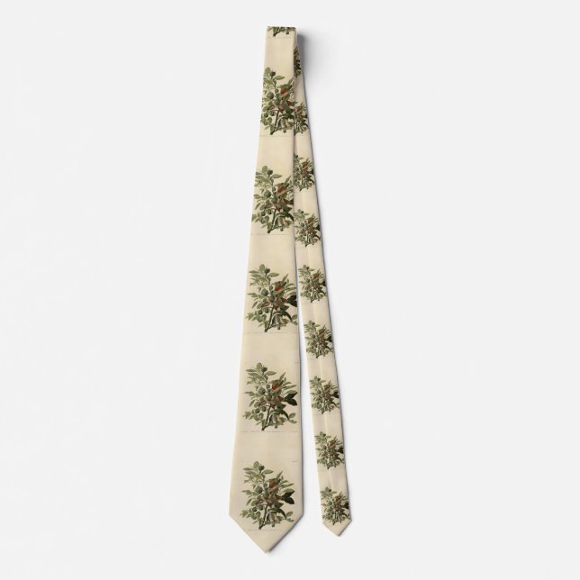 Common Ground-Dove from Audubon's Birds of America Neck Tie (Front)