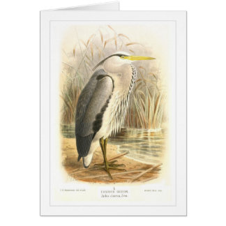 Common Heron Cards