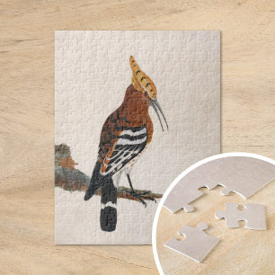 Common Hoopoe William Lewin Jigsaw Puzzle