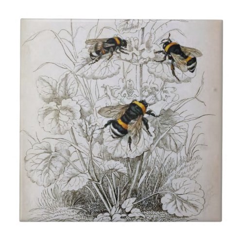 Common Humble_Bee Honey_Bee Illustration  Ceramic Tile