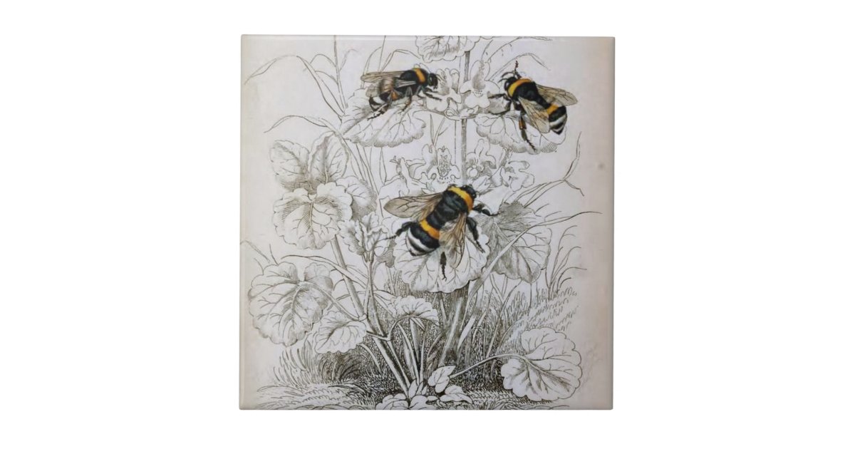 T-shirt à Manches Courtes Humble Bee Honey - Sauvez Les Abeilles, Blanc, Neuf Avec étiquettes