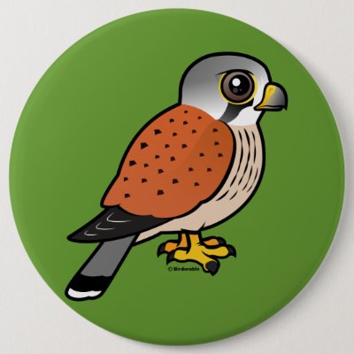 Common Kestrel Button