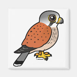 Common Kestrel Square Magnet