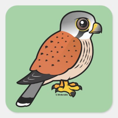 Common Kestrel Square Sticker