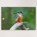 Common Kingfisher Bird Nature Jigsaw Puzzle<br><div class="desc">This stunning jigsaw puzzle features a Common Kingfisher sitting on a branch #kingfisher #commonkingfisher #bird #animal #nature #cute #birthday #holidays #holidays #christmas #feather #wing #rare #festive #jigsaw #puzzle #jigsawpuzzle #gifts #gift #fun #stockingstuffers #games</div>