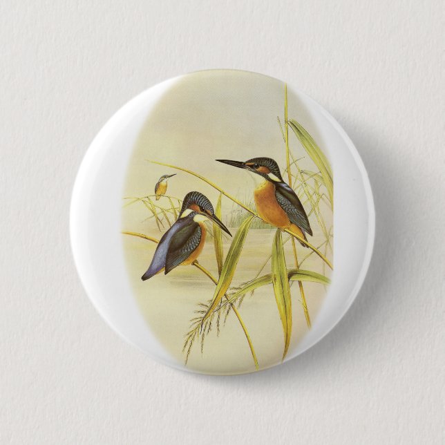 Common Kingfisher Pinback Button (Front)