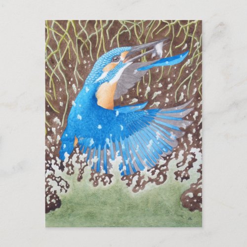 Common Kingfisher Postcard
