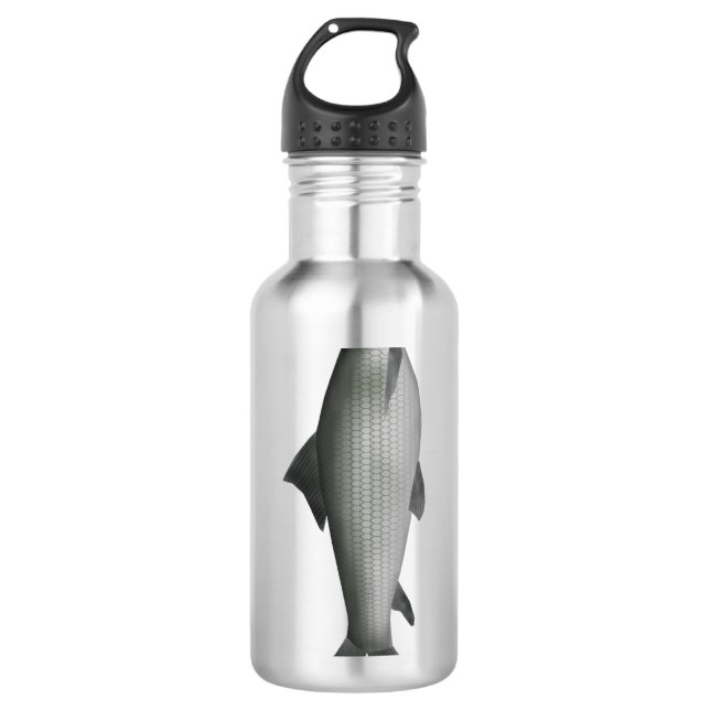 Common Labeo Stainless Steel Water Bottle (Front)