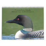 Common Loon 2026 Calendar