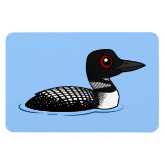 Common Loon, breeding adult 4