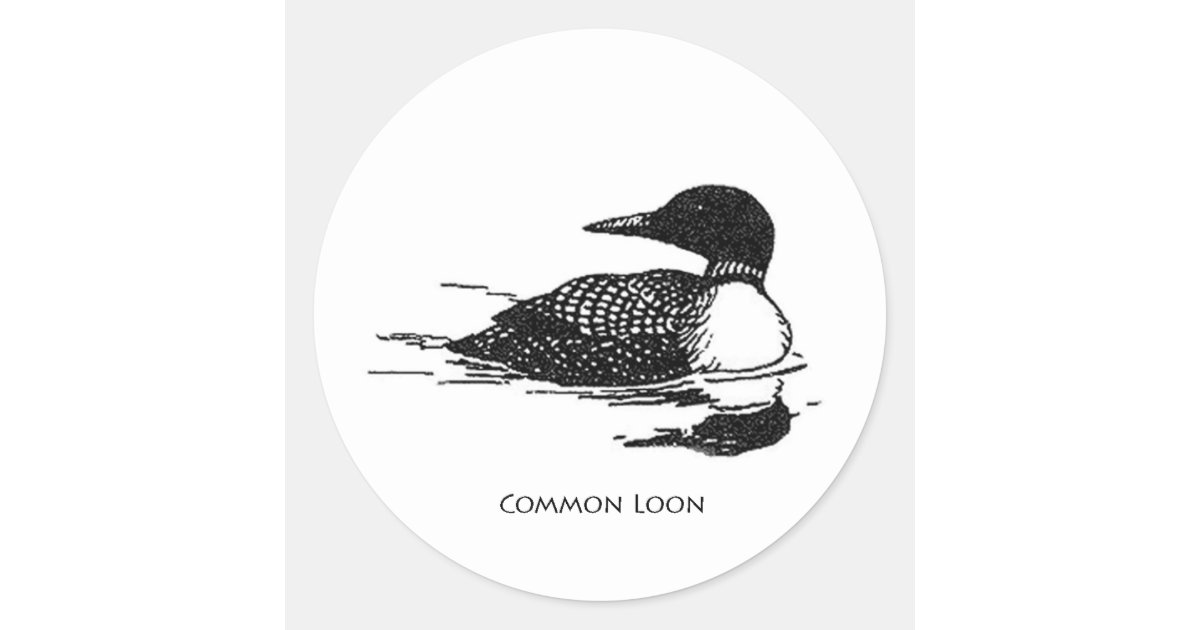 Common Loon Classic Round Sticker | Zazzle