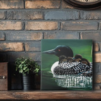 Common Loon Family Lake Wildlife Nature Green