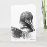 Common Loon Illustration Blank Greeting Card at Zazzle