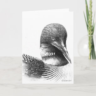 Common Loon Illustration Blank Greeting Card
