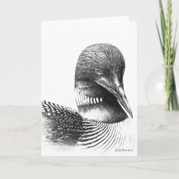 Common Loon Illustration Blank Greeting Card by William63 at Zazzle