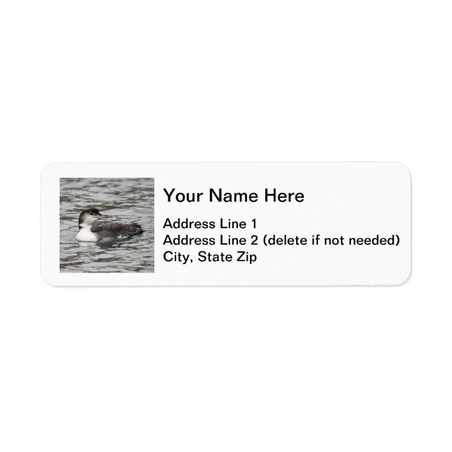 Common Loon Label (Front)