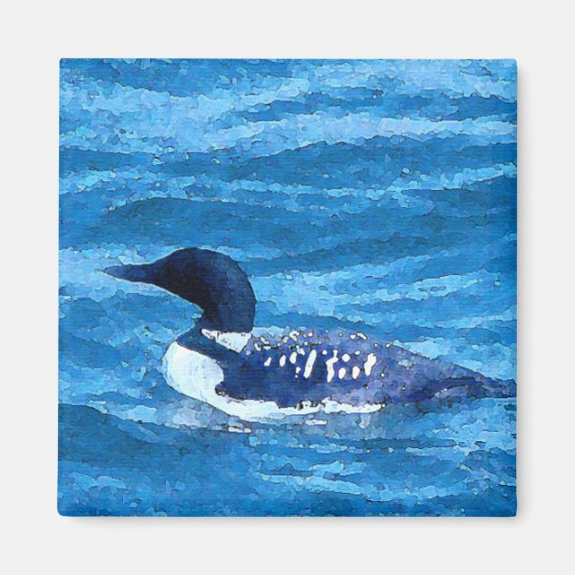 Common Loon Magnet (Front)