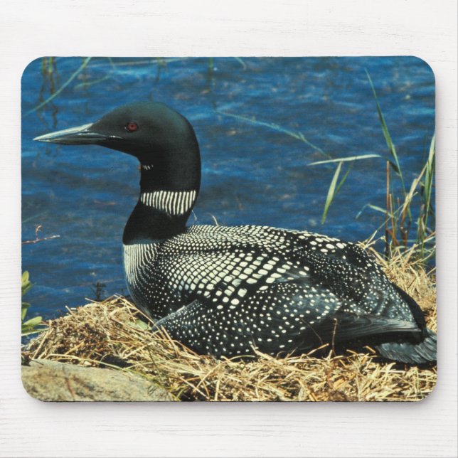 Common Loon Mouse Pad (Front)