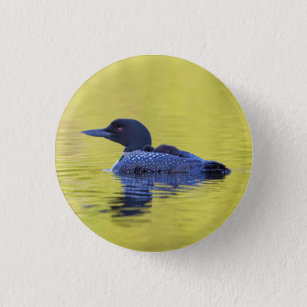 Common Loon On Green Water Button