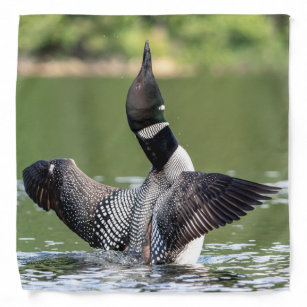 Common Loon on Jabe Pond Bandana