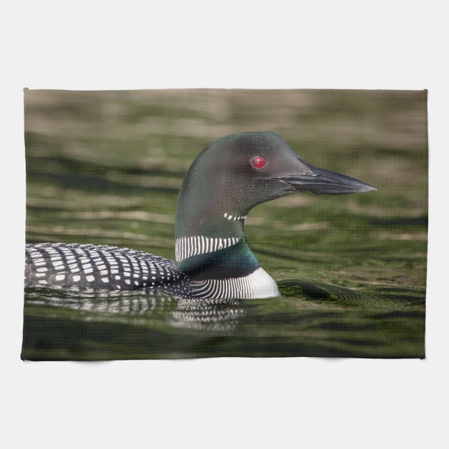 Common Loon on Jabe Pond Kitchen Towel (Horizontal)