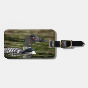 Common Loon on Jabe Pond Luggage Tag