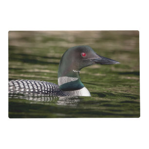 Common Loon on Jabe Pond Placemat