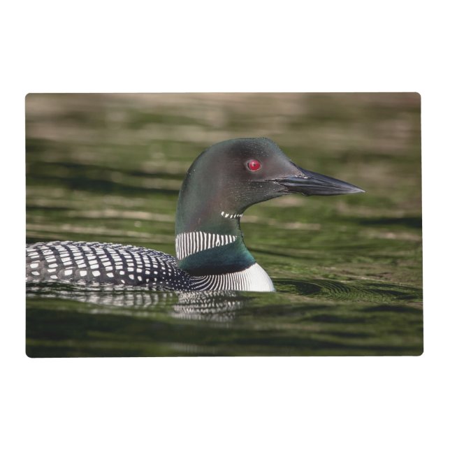 Common Loon on Jabe Pond Placemat (Front)