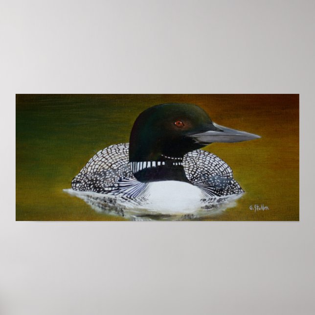 Common Loon Poster (Front)