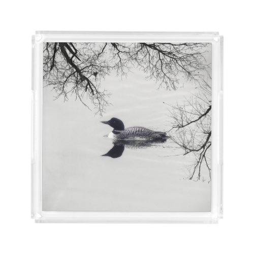 Common Loon Swims in a Northern Lake in Winter Acrylic Tray