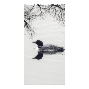 Common Loon Swims in a Northern Lake in Winter Card